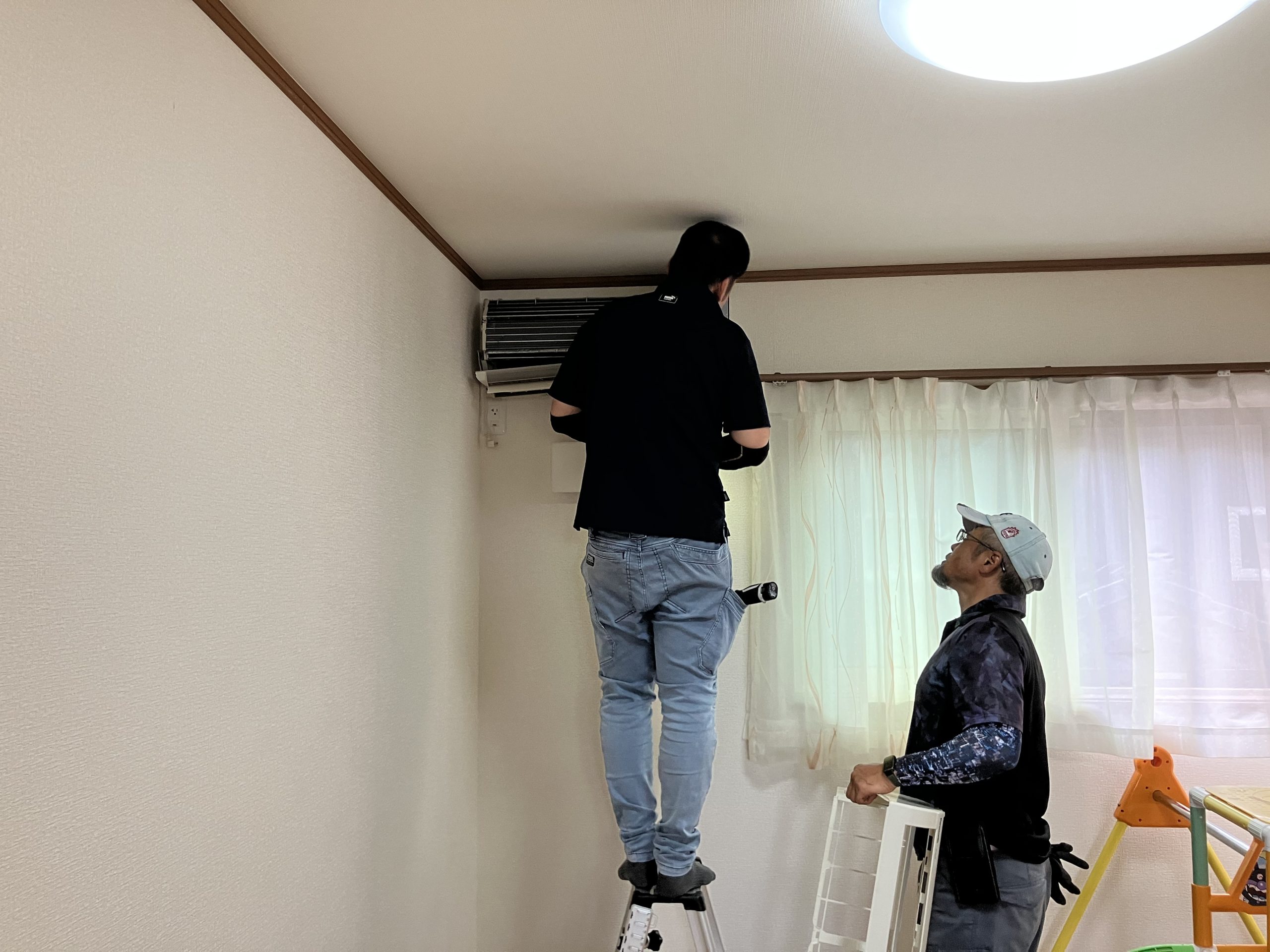コウモリ侵入と確実な対策