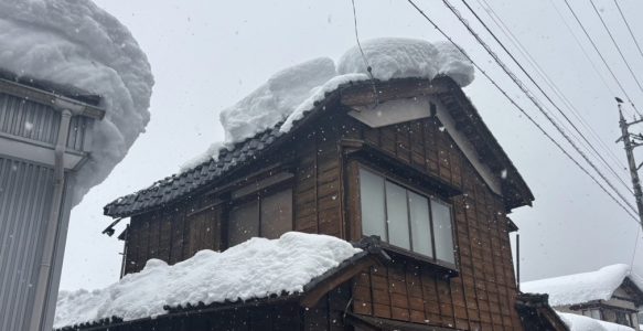「今年の雪はいつもと違う。」　　～大野の屋根を襲った異例の雪害～